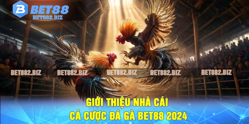 Giới thiệu nhà cái cá cược Đá Gà BET88 2024