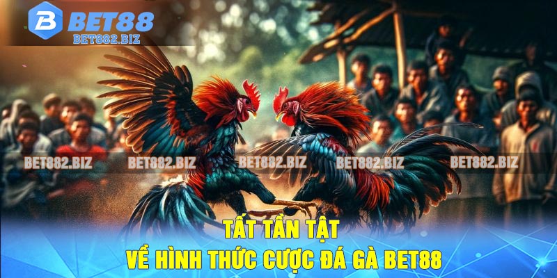 Tất tần tật về hình thức cược Đá Gà BET88